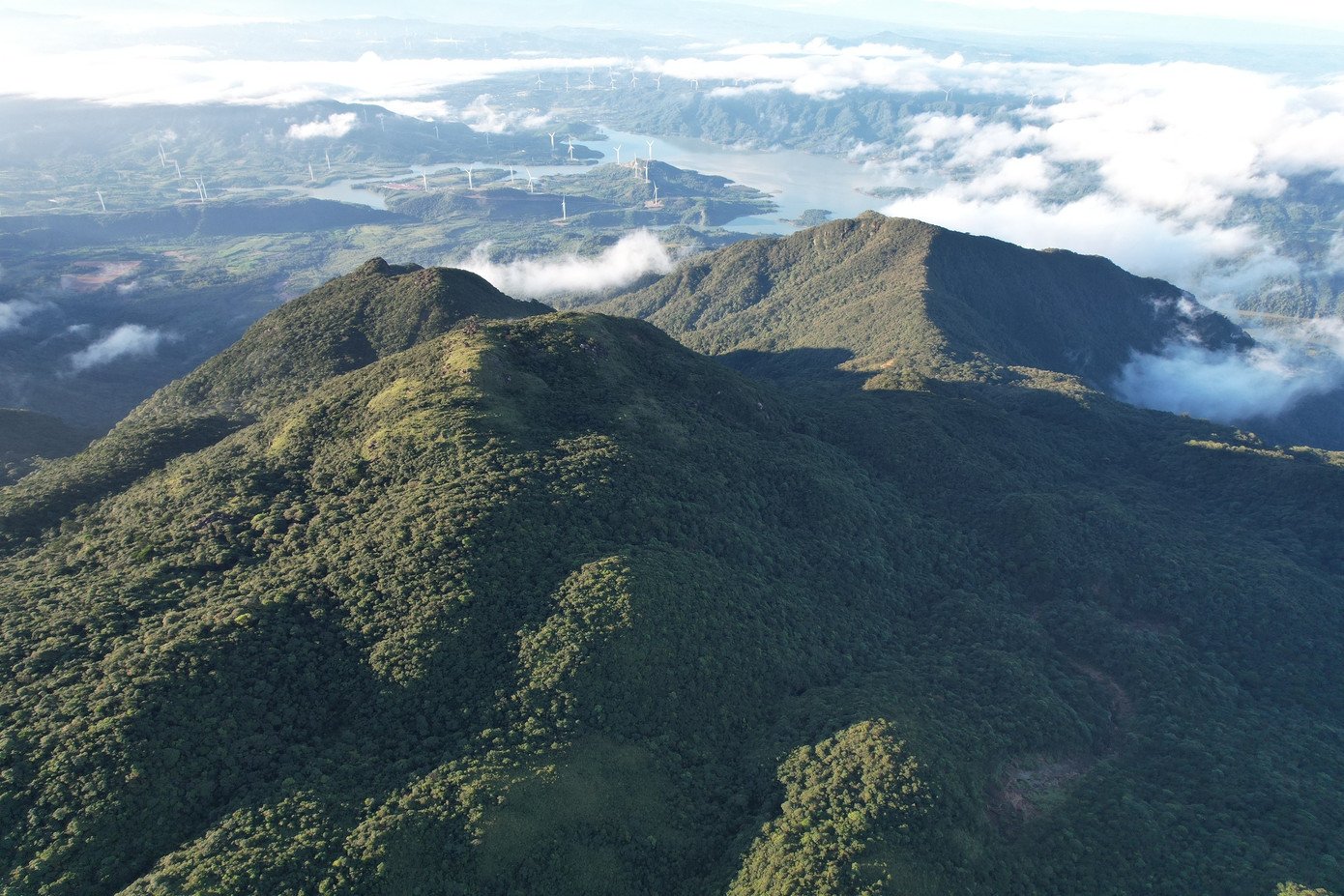 Từ trên đỉnh nhìn xuống, những cánh rừng nguyên sinh trải dài bất tận, thấp thoáng phía xa là dấu hiệu của sự sống mới - những bản làng, những cánh đồng điện gió đang vươn mình trong sương. Đó là bức tranh giao hòa giữa thiên nhiên hoang sơ và nhịp sống con người, vừa yên bình, vừa giàu hy vọng. Giữa thiên nhiên mênh mang ấy, “nóc nhà” Quảng Trị không chỉ như một đỉnh núi cần chinh phục, mà như một không gian để con người tạm dừng, chiêm nghiệm và yêu thêm đại ngàn Trường Sơn.
