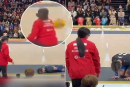 Hàng triệu lượt xem clip mỹ nam bóng chuyền Nhật Bản "cắm mặt xuống đất" xin lỗi