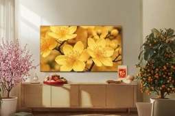 Xu hướng TV 2026: Màn hình khổng lồ và công nghệ QD-Mini LED "đổ bộ" phòng khách Việt