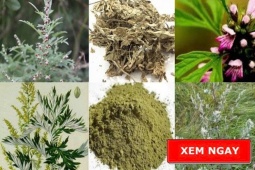 Tin tức sức khỏe - Học người Nhật bí quyết giảm đau xương khớp được truyền qua hàng trăm năm