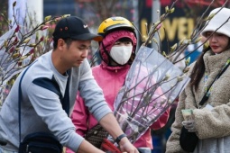 Loại hoa ‘ngủ đông’ mới lạ vừa xuất hiện ở Hà Nội đã gây sốt