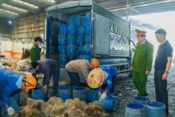 Tiêu hủy hơn 5 tấn giá đỗ sử dụng chất cấm ở Hải Phòng