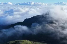 Bồng bềnh mây trắng, hoa rừng ở Pa Thiên - Voi Mẹp