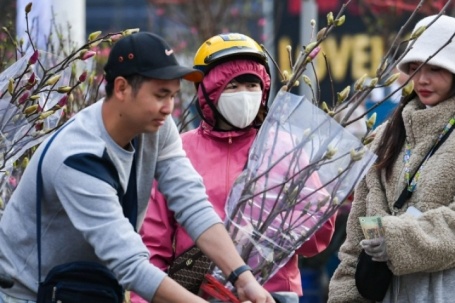 Loại hoa ‘ngủ đông’ mới lạ vừa xuất hiện ở Hà Nội đã gây sốt