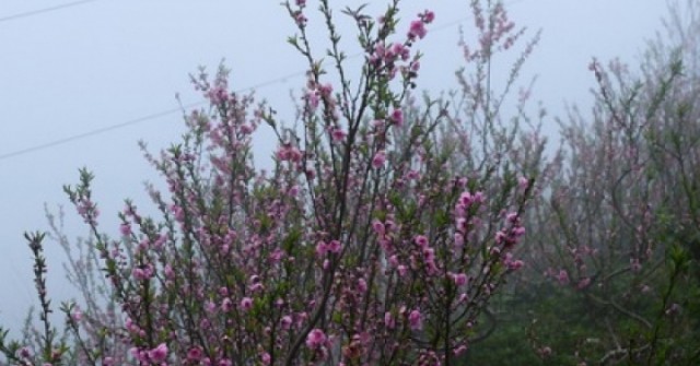 Cơ quan khí tượng thông tin chính thức về thời ...