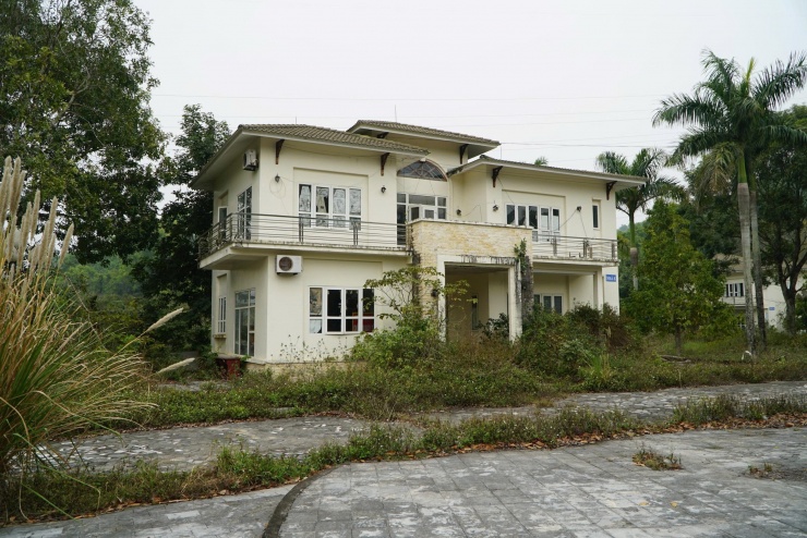 Phía sau trung tâm là 5 dãy biệt thự, cỏ mọc um tùm