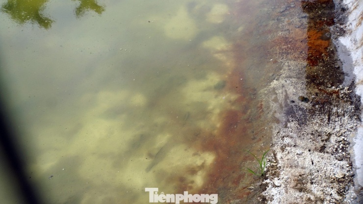 Người dân hoang mang về hiện tượng bão 'bụi màu' ở Hải Phòng - 9