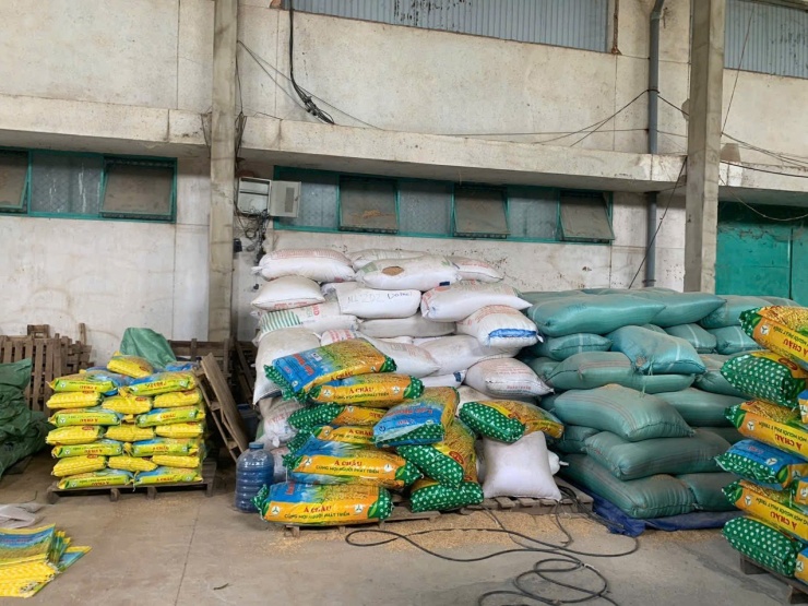 Sản phẩm lúa giống bị làm giả.