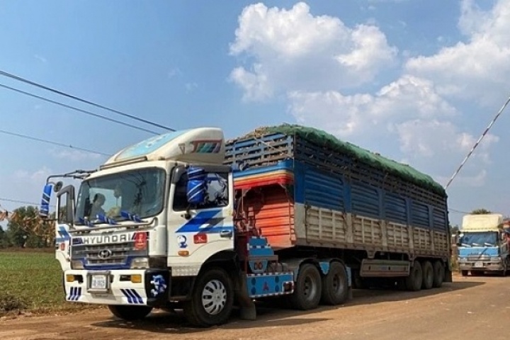 Thủ tướng yêu cầu 'thông quan ngay' hàng ách tắc tại cửa khẩu