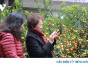 Không khí lạnh dồn dập trước Tết Nguyên đán Bính Ngọ