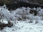 Miền Bắc có khả năng xảy ra sương muối, băng giá khi đón không khí lạnh mạnh