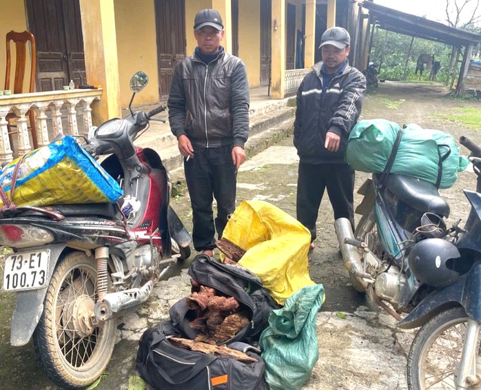 Hai người đàn ông cùng phương tiện và 35kg gỗ mán đỉa