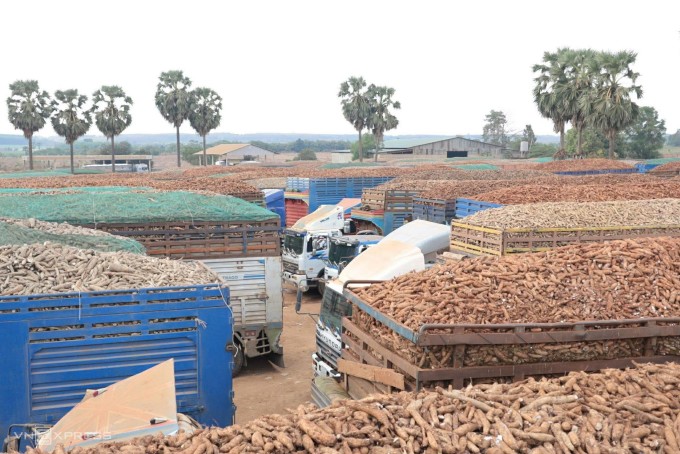 Thủ tướng yêu cầu 'thông quan ngay' hàng ách tắc tại cửa khẩu - 1