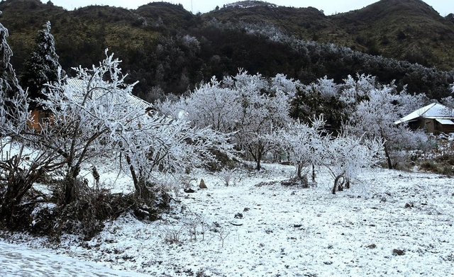 Đợt không khí lạnh mạnh có thể xuất hiện sương muối, băng giá vùng núi.