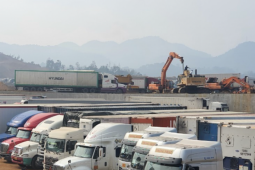 Thủ tướng yêu cầu khẩn trương giải tỏa ách tắc, thông quan kịp thời thực phẩm