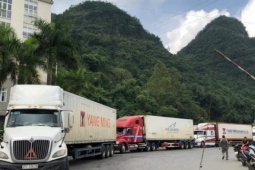 Cục Hải quan hoả tốc yêu cầu "thông quan nhanh" thực phẩm dịp sát Tết Nguyên đán