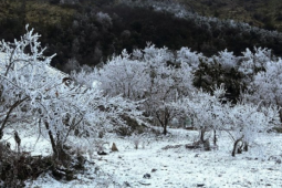 Miền Bắc có khả năng xảy ra sương muối, băng giá khi đón không khí lạnh mạnh