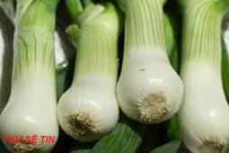 Tin tức sức khỏe - Từng bị trào ngược dạ dày lâu năm giờ mới hiểu, hóa ra cách xử lý lại đơn giản đến như vậy