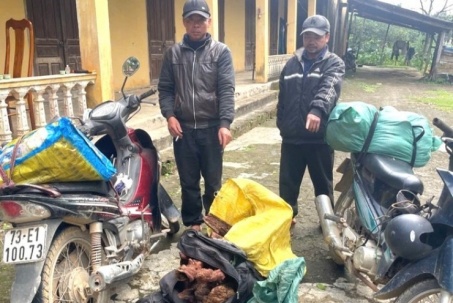 Bắt quả tang 2 người chở 35 kg gỗ "vô danh" mà thương lái Trung Quốc đang săn lùng