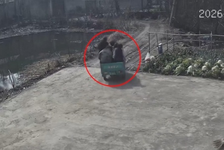 Clip: "Dở khóc dở cười" xe ba gác mất lái, 5 người lao thẳng xuống ao