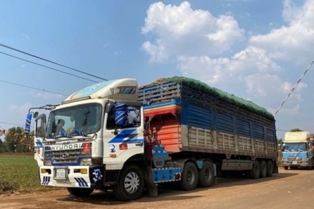 Thủ tướng yêu cầu giải tỏa ách tắc hàng hóa tại cửa khẩu