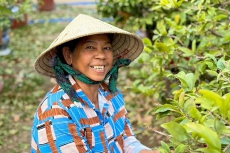 Người dân rủ nhau lặt lá mai thuê, kiếm tiền triệu tiêu Tết