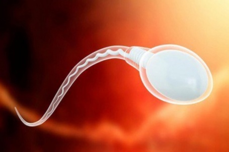 Hay dùng đồ nhựa "1 lần", quý ông có thể gặp nguy