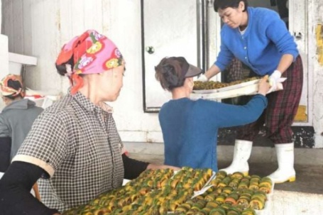 Tết ăn thịt, ăn cá, ấy thế mà cả làng này ở Nghệ An chế biến lươn đồng chốt đơn hàng mỏi cả cái "a lô"