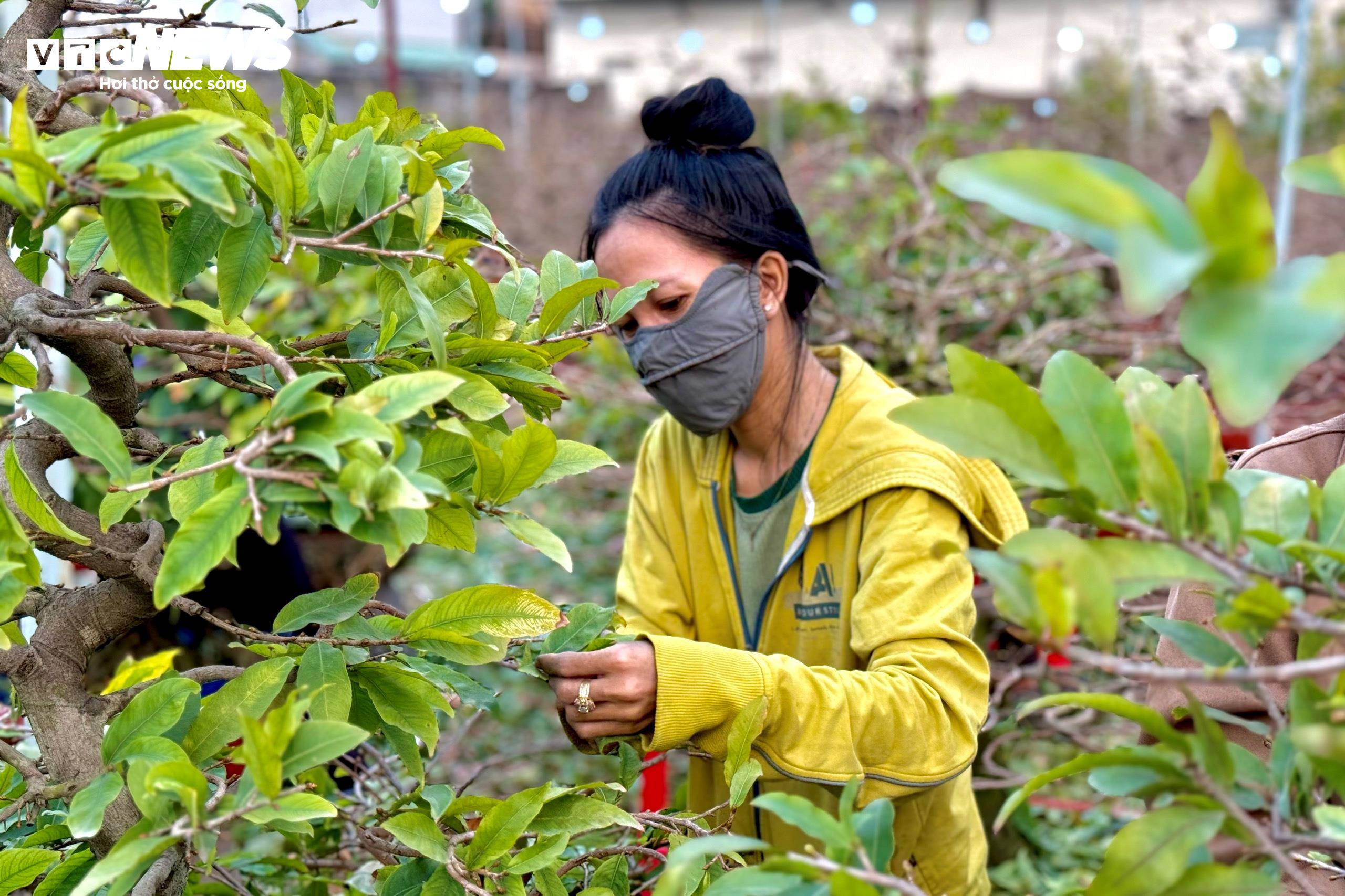 "Mình được các cô rủ đi, đi đông nên vui. Tranh thủ kiếm thêm thu nhập mùa Tết lại đỡ ở nhà bức bối", Ngọc Ánh chia sẻ.