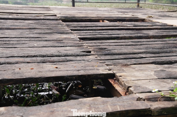 Sàn gỗ tại các chòi trên hồ mục nát, trơ đinh tán gỉ sét, nguy hiểm