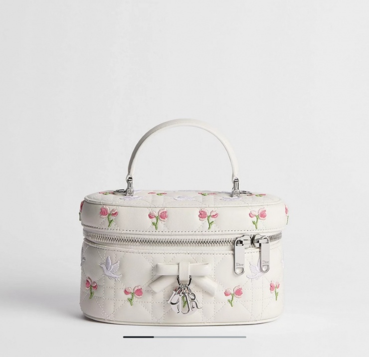 Mẫu túi có phom đứng lấy cảm hứng từ hộp trang điểm mini, trang trí charm kim loại DIOR, đi kèm tay cầm và dây đeo tháo rời, phù hợp xách tay hoặc đeo chéo.