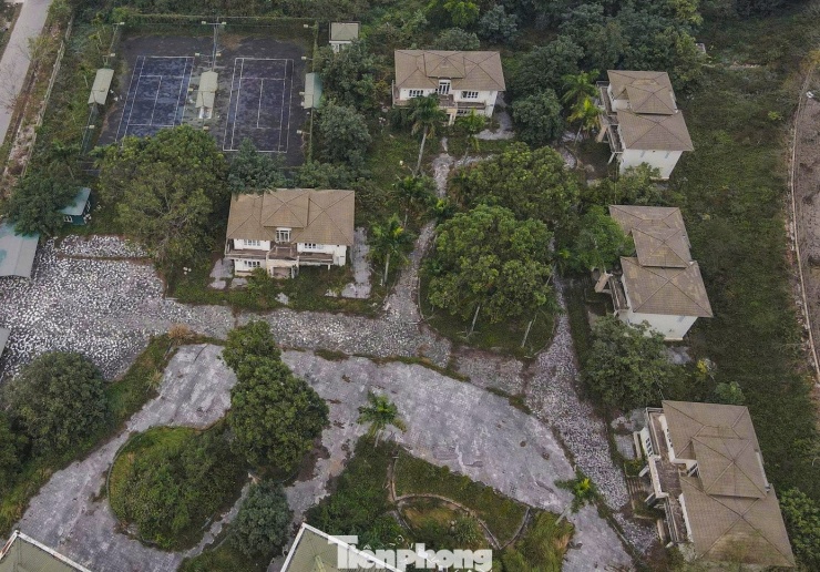 Phía sau khuôn viên trung tâm hội nghị có 5 căn biệt thự cao 2 tầng bị bỏ hoang, cỏ cây mọc um tùm.