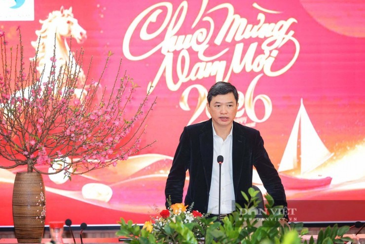 Xoilac và hàng loạt web lậu xem bóng đá bị chặn: Cục Sở hữu trí tuệ nói gì?