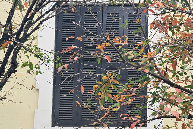 Miền Bắc nắng ráo trước khi đón không khí lạnh mạnh. Ảnh: Tuấn Anh