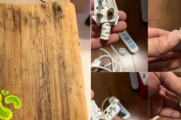 5 thứ nên vứt bỏ khi dọn nhà đón năm mới