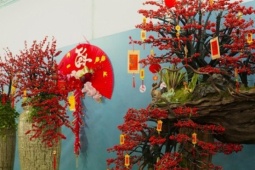 Tết Bính Ngọ: Đào đông nhập khẩu giá 'bỏng tay', người chơi tò mò