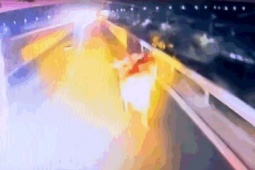 Đàn bò trên ôtô lao xuống gây hỗn loạn cao tốc Phan Thiết