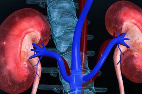 8 dấu hiệu bệnh suy thận, người Việt cần biết để phòng bệnh từ sớm