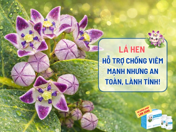 Tránh ngay 3 thói quen âm thầm “đánh gục” phổi ngày Tết, kẻo phải “ăn Tết” trong bệnh viện! - 4