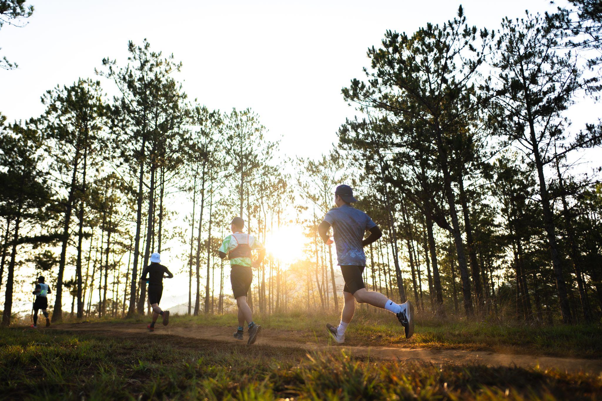 Giải chạy gây ấn tượng khi tổ chức tại Đà Lạt - nơi có khí hậu dễ chịu và cảnh sắc thiên nhiên trong lành