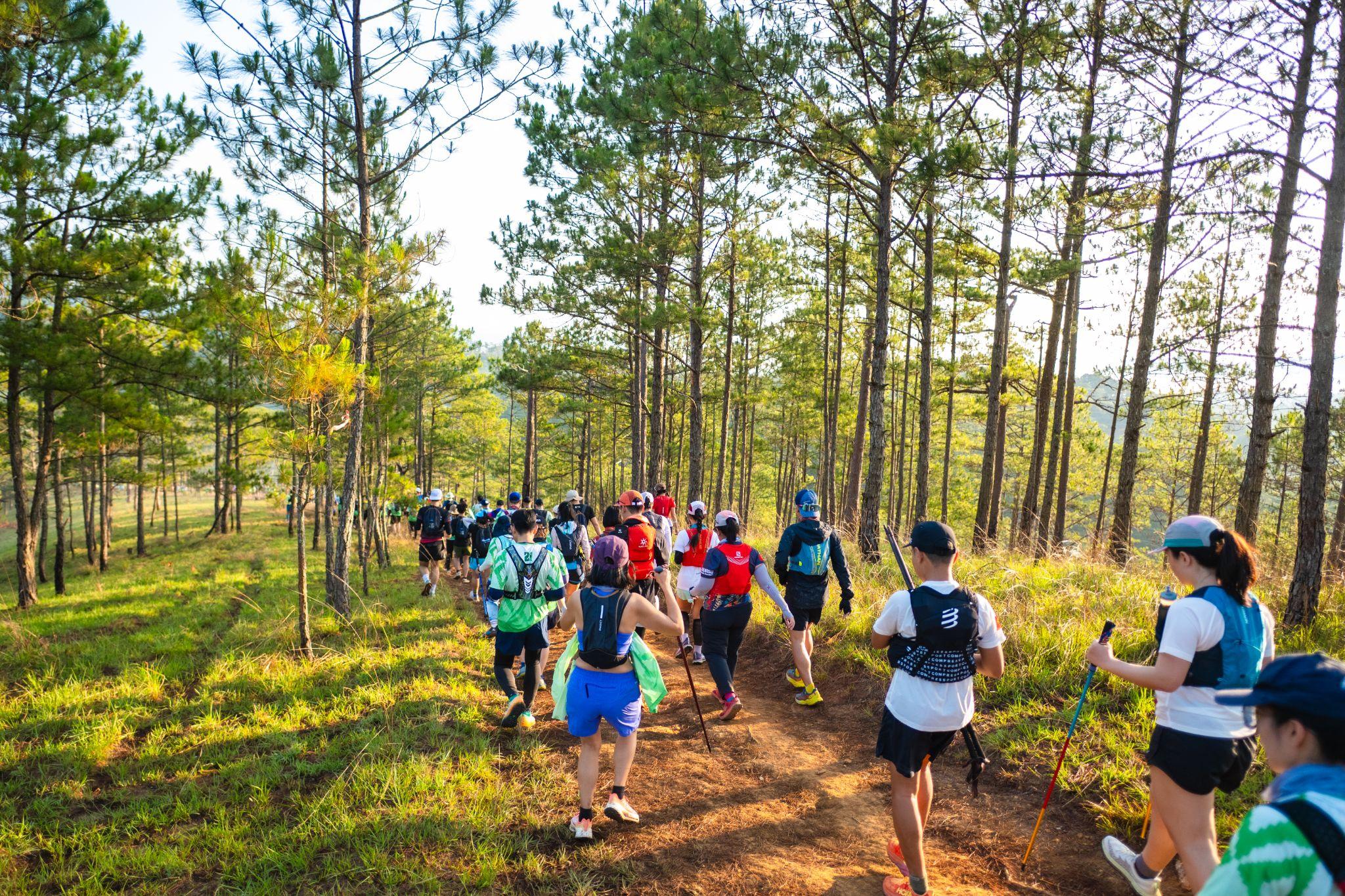 Dalat Ultra Trail 2026 có 7 cự ly chạy, gồm 5km, 15km, 21km, 50km, 75km, 100km và 100PRO