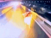 Đàn bò trên ôtô lao xuống gây hỗn loạn cao tốc Phan Thiết