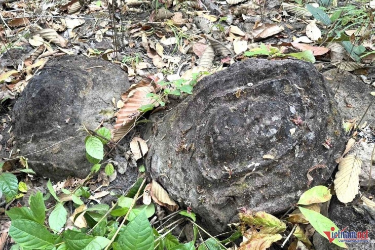 VQG Yok Đôn đã tìm thấy 65 viên đá có họa tiết bí ẩn trải dài trên một triền đồi. Ảnh: Hải Dương