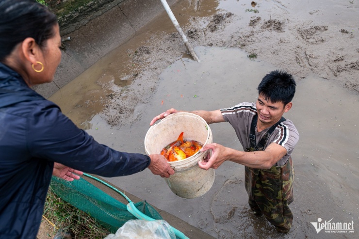 &nbsp;“Nuôi cá chép đỏ không chỉ tính bằng lời lãi mà còn là cả một quá trình giữ nghề. Tôi sẽ tiếp nối nghề của bố mẹ, bởi đây vừa là truyền thống của làng vừa mang lại nguồn thu nhập ổn định mỗi dịp Tết”, anh Hà Công Hải (con trai ông Vụ) chia sẻ.