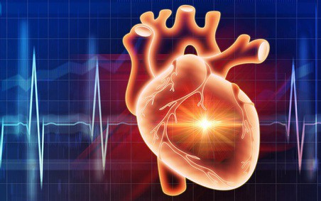 Sức khỏe hệ tim mạch, chính là nền tảng quan trọng để cải thiện chức năng sinh lý nam.