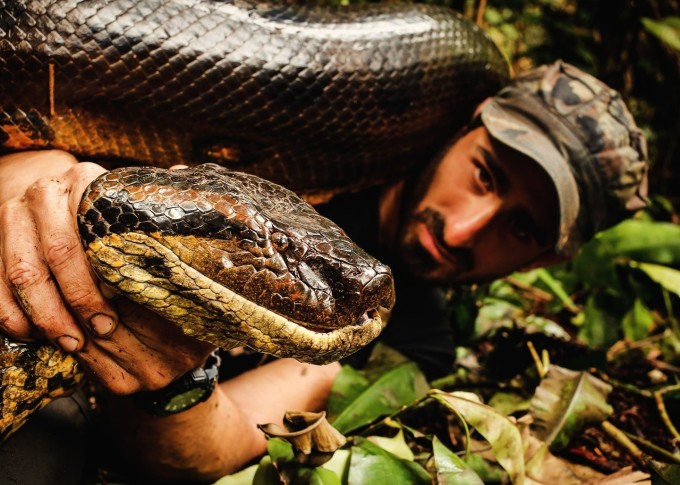 Con trăn anaconda dài gần 6 m Paul từng đụng độ. Ảnh: Paul Rosolie