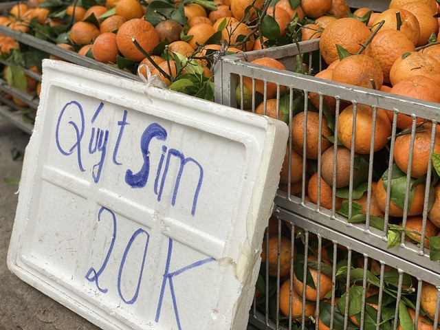 Quýt sim đổ đống bán đầy chợ Việt giá rẻ bèo.