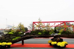 Siêu phẩm cây cảnh chưng Tết Bính Ngọ 2026: Chậu mai vàng “Vạn lộc nghinh xuân” giá 799 triệu đồng thu hút sự chú ý