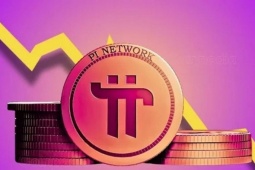 Đồng Pi mất 95%, hoài nghi ngày càng dâng cao