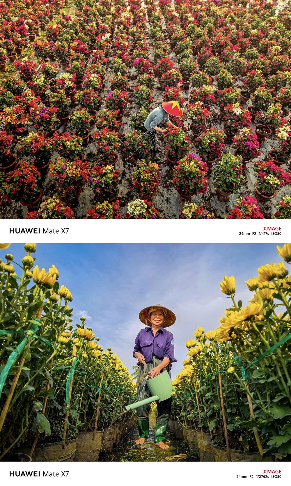 Hình ảnh: Trần Phương